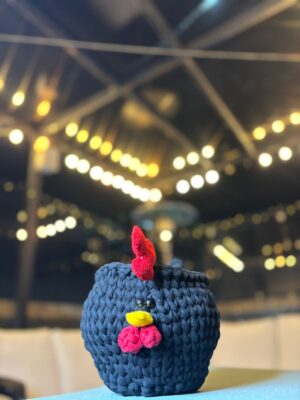 Porta Huevos de Gallina Mediano